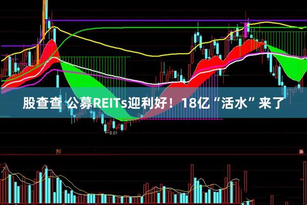 股查查 公募REITs迎利好！18亿“活水”来了